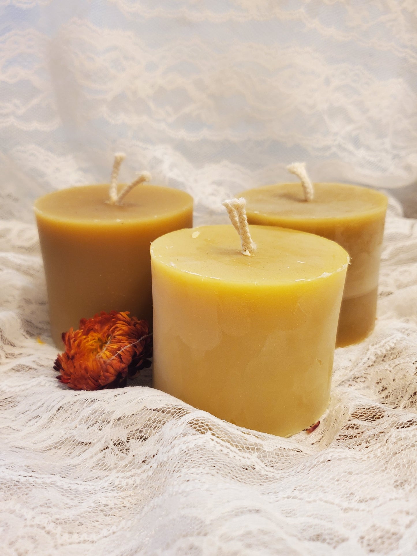 Three beeswax candles with a dried flower on a textured white background