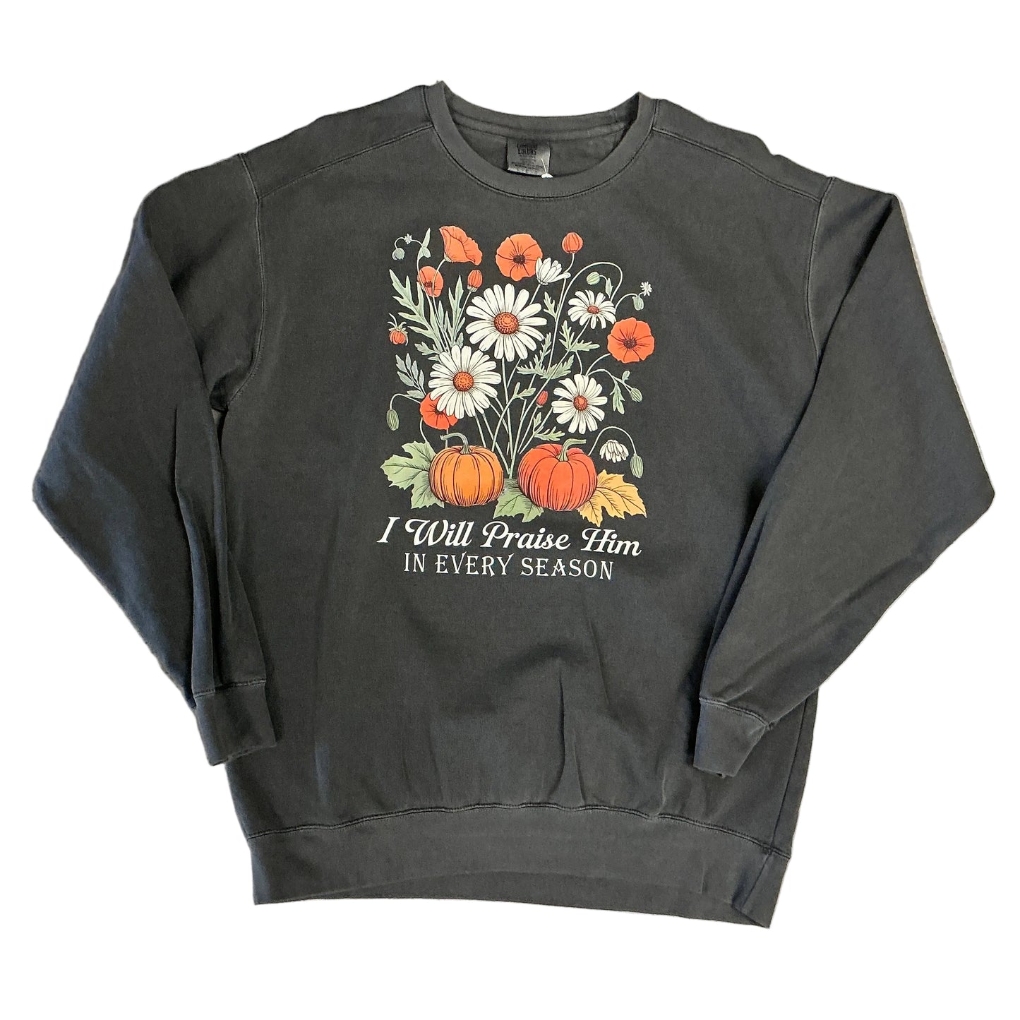 I Will Praise Him Sweatshirt