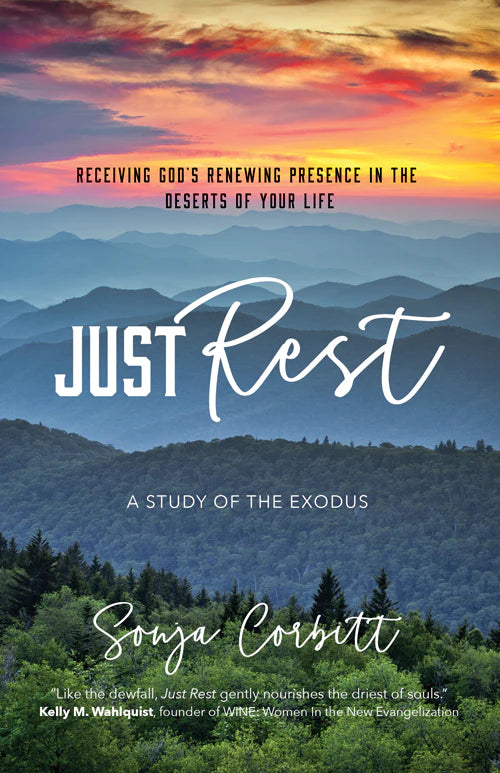 Book cover of 'Just Rest' with a mountain landscape and sunset.