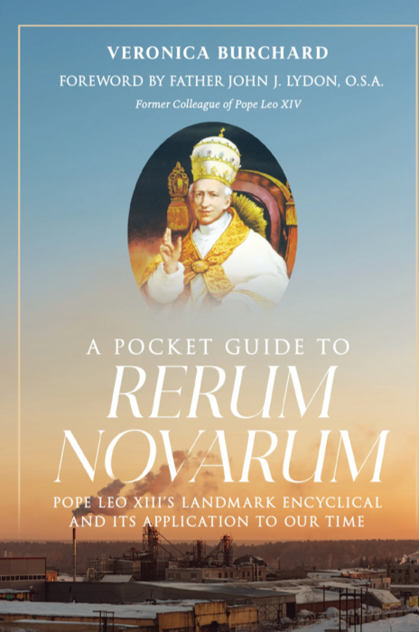 A Pocket Guide to Rerum Nevarum
