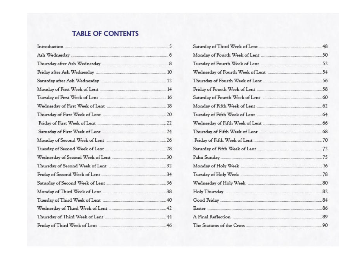 Table of contents for a book with chapter headings.