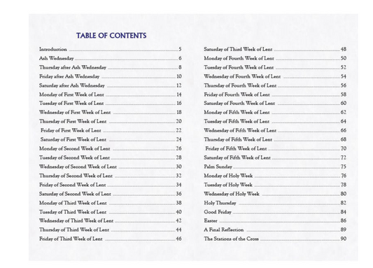 Table of contents for a book with chapter headings.