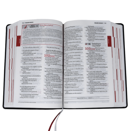 Divine Mercy Bible