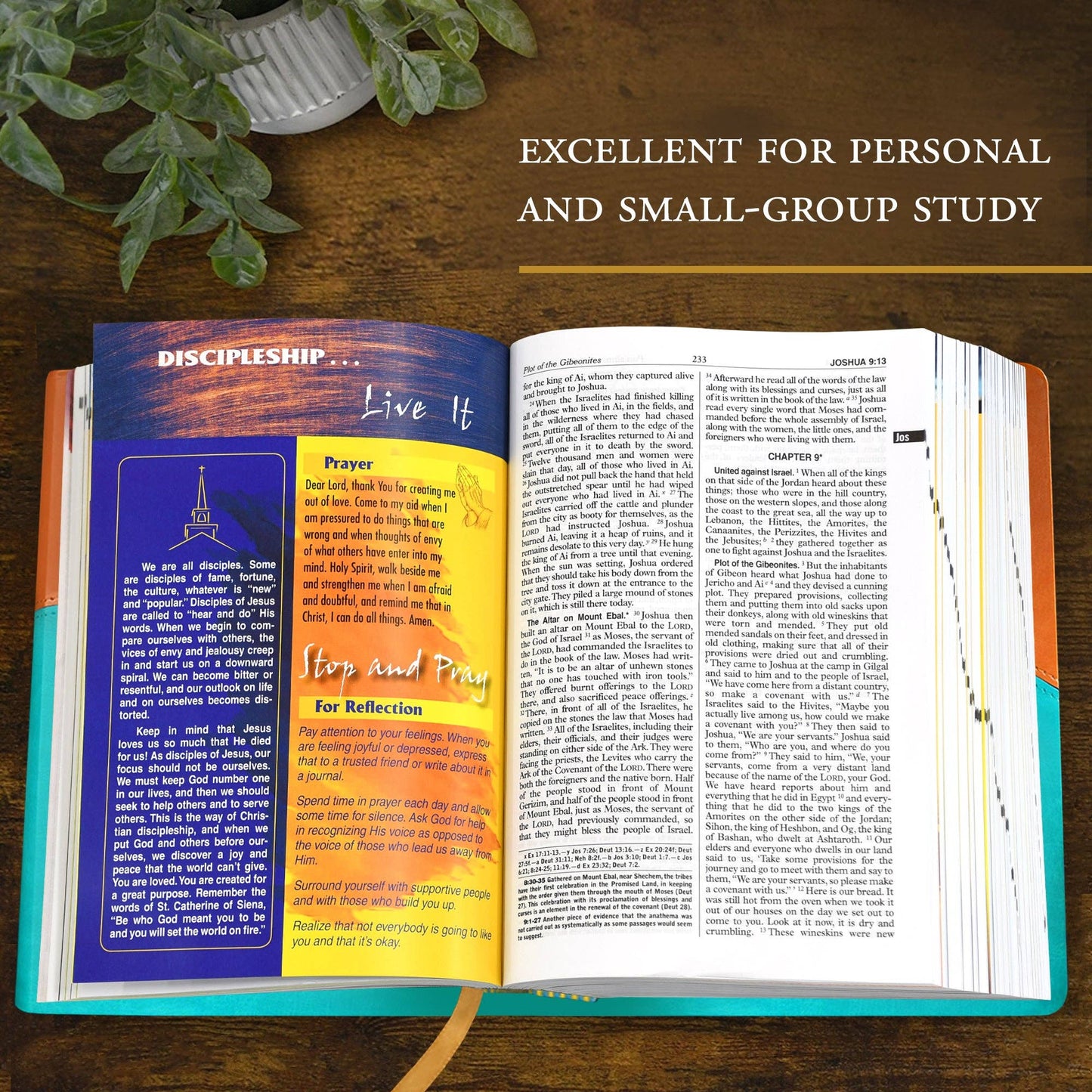 Open book with colorful sections on a wooden surface, text 'Excellent for personal and small-group study' above.