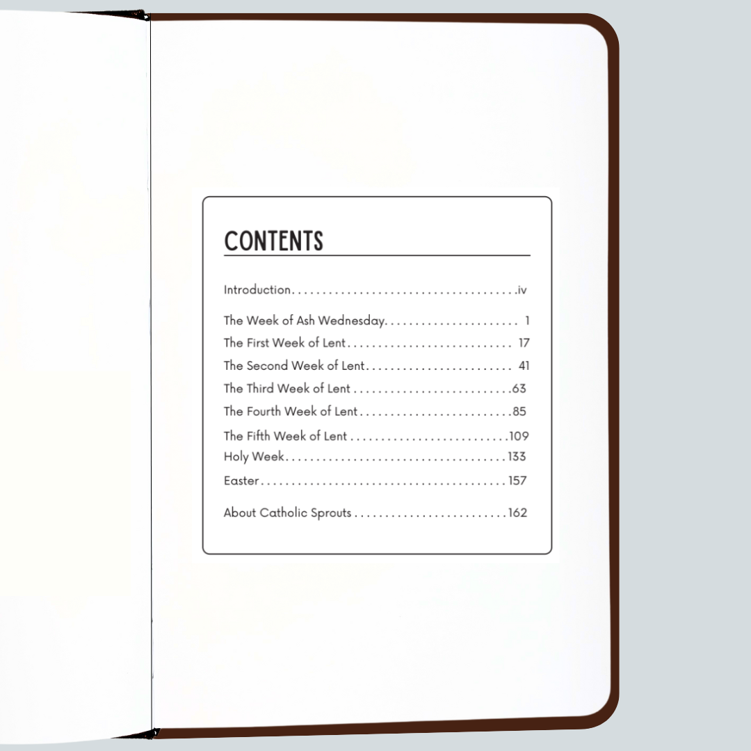 Table of contents page of a book with a brown border on a white background