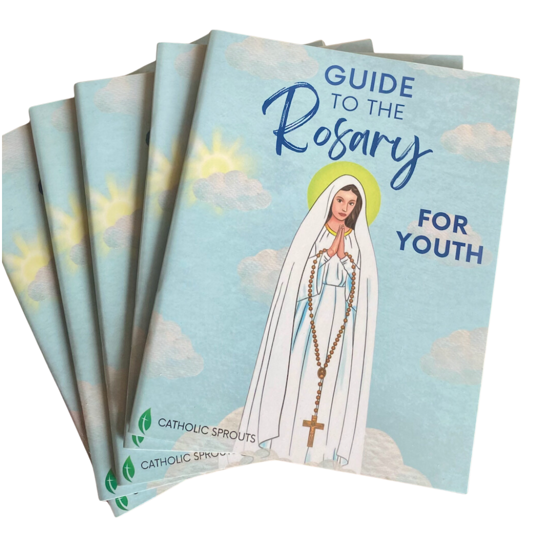 Set of 'Guide to the Rosary for Youth' books with a depiction of a Mary on the cover.