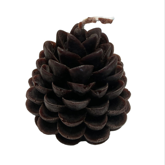 Pinecone Beeswax Candle