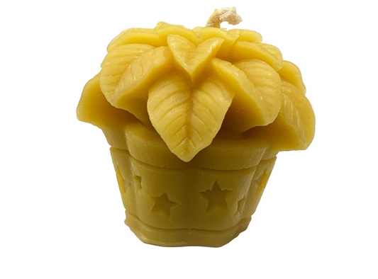 Poinsettia Candle