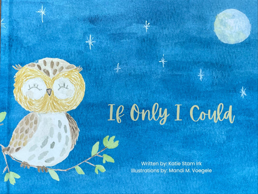 Book cover with an owl illustration and text on a blue background