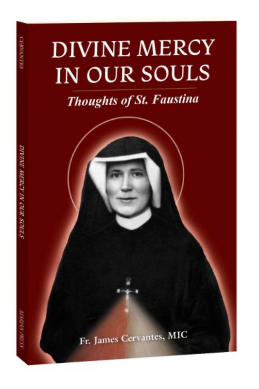 Divine Mercy in our Souls